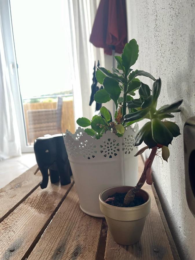 Schoene Wohnung In Ruhiger Laendlicher Lage Heidenheim  Zewnętrze zdjęcie